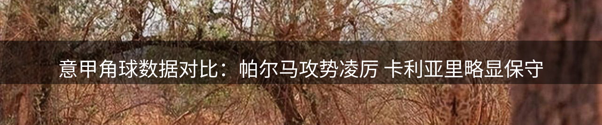 体育资讯