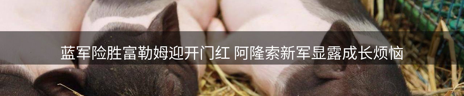 体育资讯
